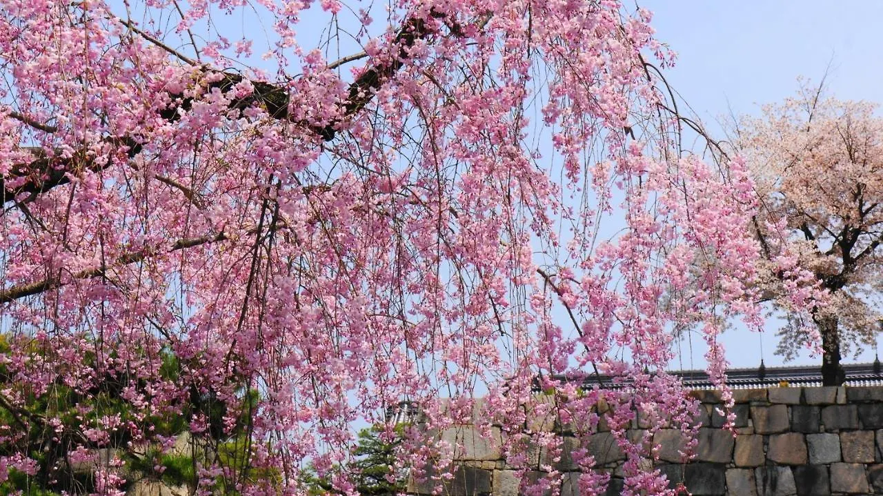 The Hotel Kiyomizu Imperial Palace West 교토 일본